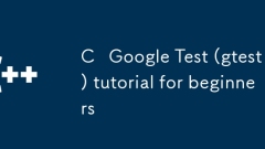C Google Test (gtest) tutorial for beginners