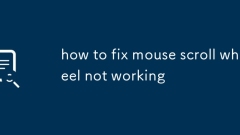 how to fix mouse scroll wheel not working