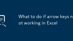 What to do if arrow keys not working in Excel