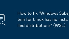 How to fix 'Windows Subsystem for Linux has no installed distributions' (WSL)