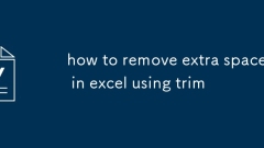 cara mengeluarkan ruang tambahan dalam excel menggunakan trim