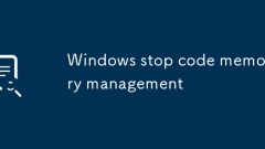 Windows stop code memory management