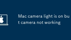 MAC -Kamera -Licht ist eingeschaltet, aber die Kamera funktioniert nicht
