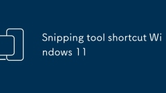 Windows Pintasan Alat Tnipping 11