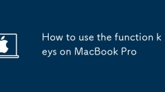 So verwenden Sie die Funktionstasten auf MacBook Pro