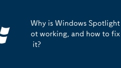 Warum funktioniert Windows Spotlight nicht und wie kann man es beheben?