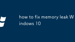 So reparieren Sie Speicherverluse Windows 10