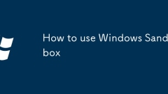 So verwenden Sie Windows Sandbox