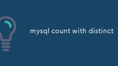 MySQL은 별개의 수로 계산합니다