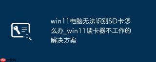 win11电脑无法识别SD卡怎么办_win11读卡器不工作的解决方案