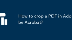 Bagaimana untuk menanam PDF di Adobe Acrobat?