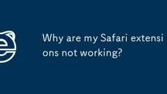 Mengapa sambungan safari saya tidak berfungsi?