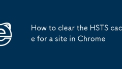Cara membersihkan cache HSTS untuk tapak di Chrome