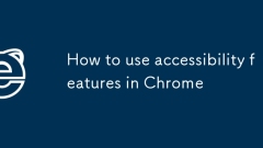 Cara Menggunakan Ciri Kebolehcapaian di Chrome