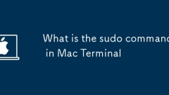 Mac ???? Sudo ??? ??????