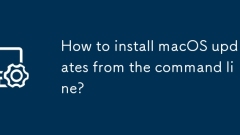 Bagaimana cara memasang kemas kini macOS dari baris arahan?