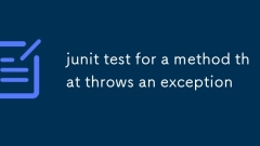 junit test for a method that throws an exception