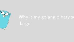 Warum ist mein Golang -Binär so groß