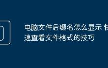 电脑文件后缀名怎么显示 快速查看文件格式的技巧