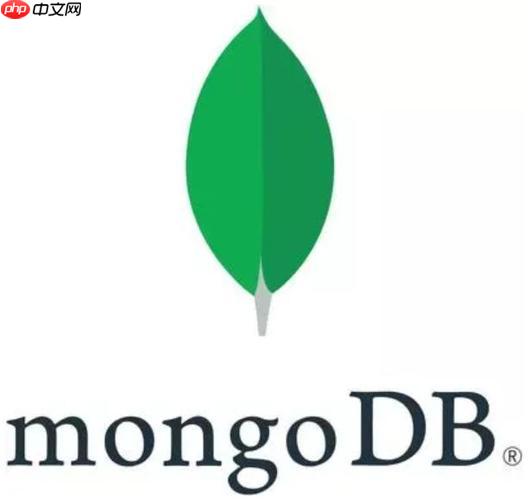 MongoDB如何优化聚合查询 聚合查询优化技巧大幅提升效率