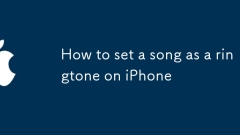 So setzen Sie einen Song als Klingelton auf dem iPhone