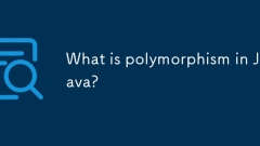 Was ist Polymorphismus in Java?