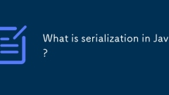 Was ist Serialisierung in Java?