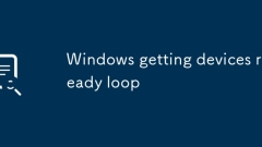 Windows -Ger?te Bereitschaftsschleife erhalten