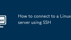 Comment se connecter à un serveur Linux à l'aide de SSH