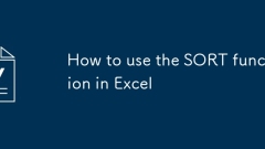 How to use the SORT function in Excel