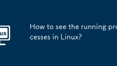 How to see the running processes in Linux?