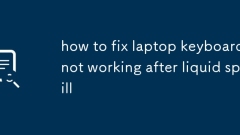 So reparieren Sie die Laptop -Tastatur, die nach Flüssigkeitsverschmutzung nicht funktioniert