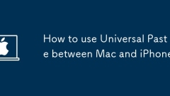 How to use Universal Paste between Mac and iPhone