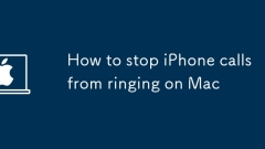 How to stop iPhone calls from ringing on Mac