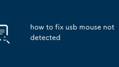 USB ???? ???? ??? ???? ????