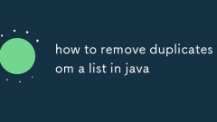Comment supprimer les doublons d'une liste de Java