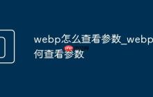 webp怎么查看参数_webp如何查看参数