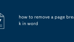 how to remove a page break in word