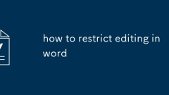 how to restrict editing in word