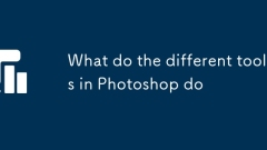 What do the different tools in Photoshop do