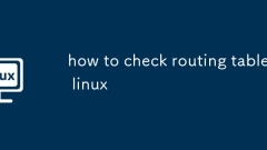 So überprüfen Sie die Routing -Tabelle Linux