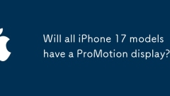 Will all iPhone 17 models have a ProMotion display?