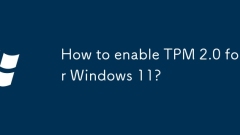 Windows 11? ?? TPM 2.0? ????? ??? ??????