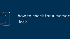 how to check for a memory leak