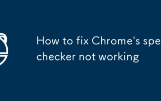 Cara Memperbaiki Pemeriksa Eja Chrome Tidak Berfungsi