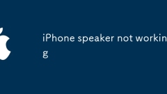 iPhone speaker not working