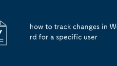 how to track changes in Word for a specific user