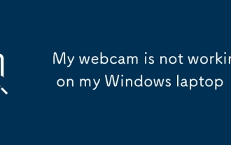 My webcam is not working on my Windows laptop