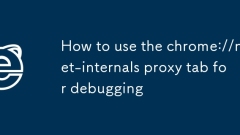 How to use the chrome://net-internals proxy tab for debugging
