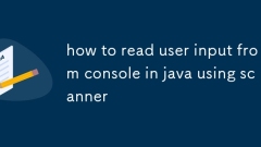 Comment lire la saisie des utilisateurs de Console en Java à l'aide du scanner